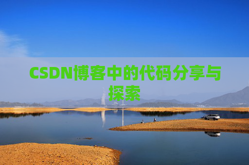 CSDN博客中的代码分享与探索